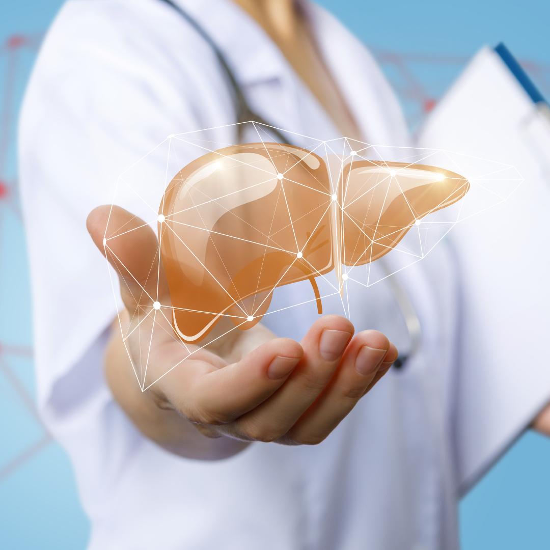 Die versteckte Verbindung: Wie Ihre Leber Ihr Gewicht beeinflusst