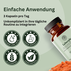 LeberPlex - Natürliche Leberunterstützung